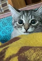 Кузьма Елена Яновна
